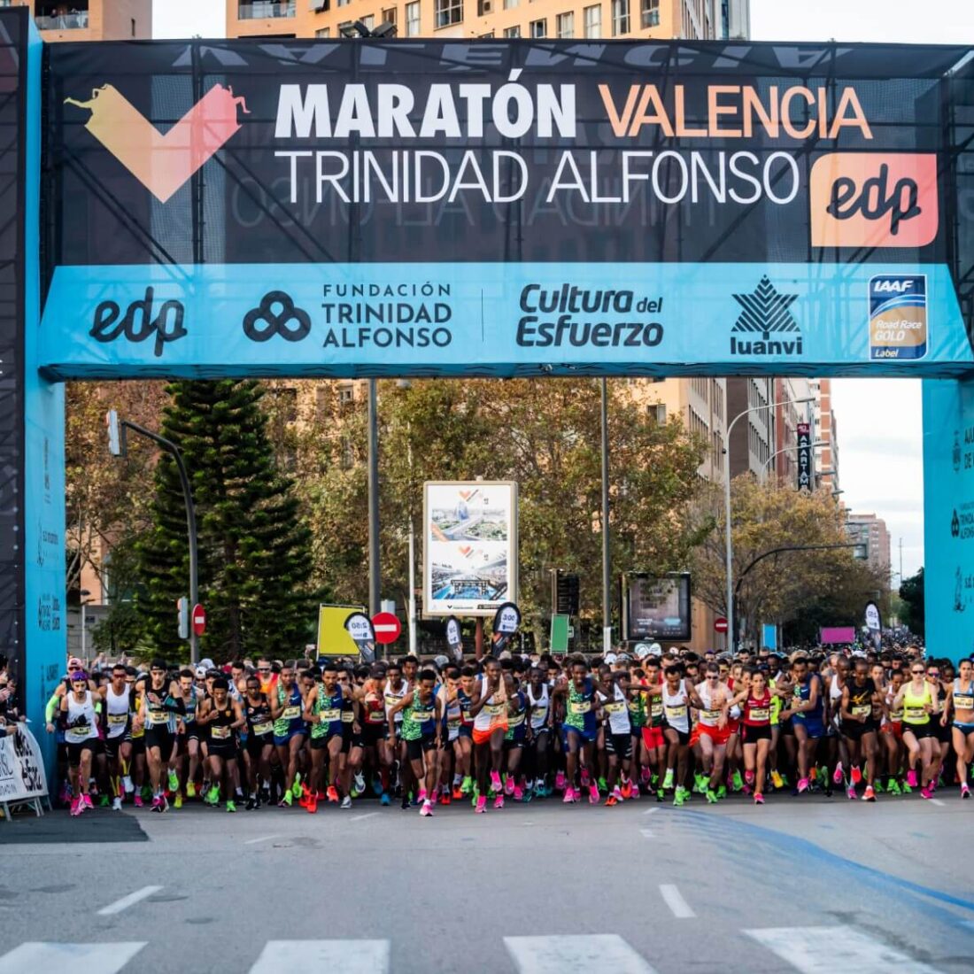 Valencia Marathon 2024 Golden Marathon Tours